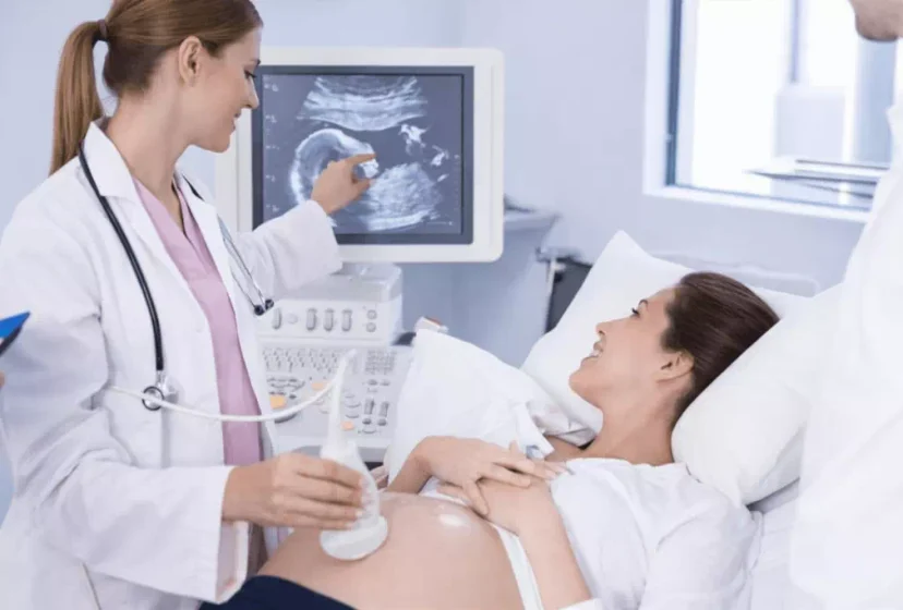 DEMETRA-SITO-2560x1707-3-1